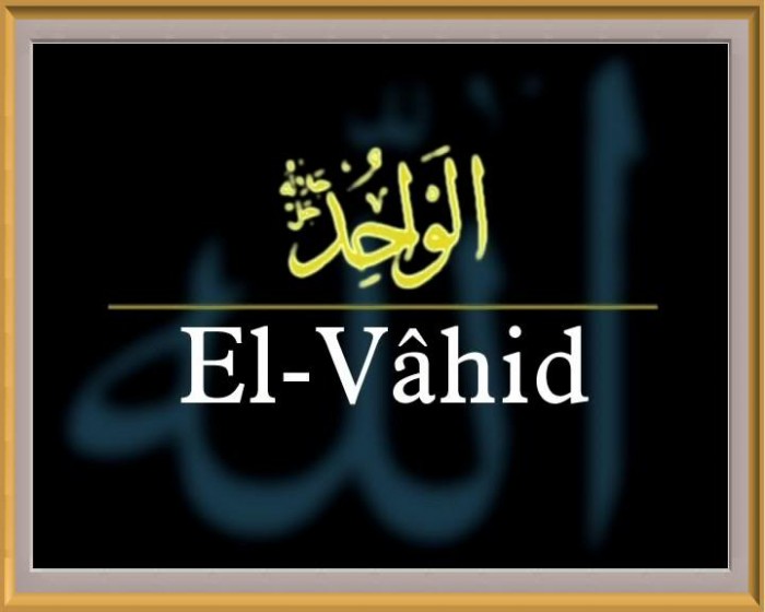El-Vahid