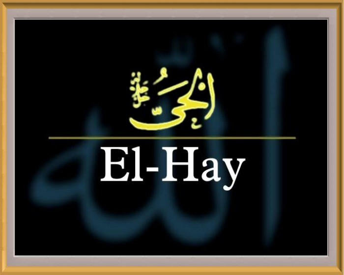 El-Hay