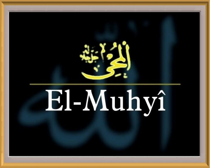 El-Muhyi