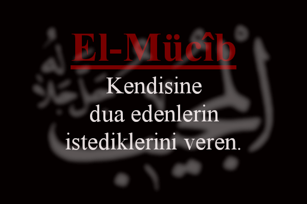 El-Mücib