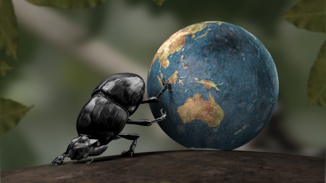 Rüyada Pislik Böceği Görmek Ne Demek