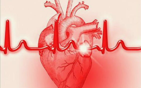 Kalp Hastalıklarının Sebepleri Nelerdir ?