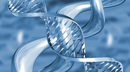 DNA'daki Değişmeler Nelerdir ?