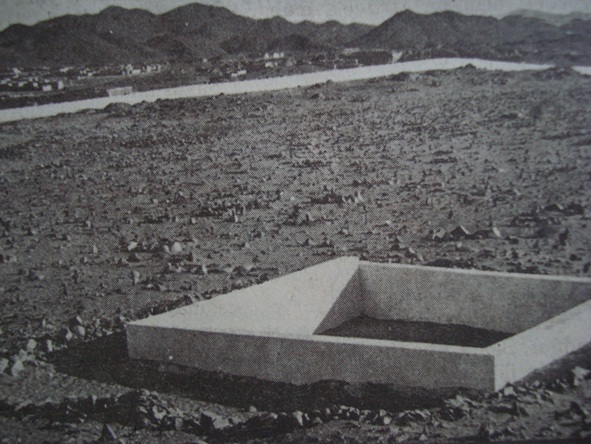 bedire-gitmeyenler