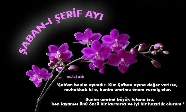 ?aban-? ?erif Ay? Hakk?nda